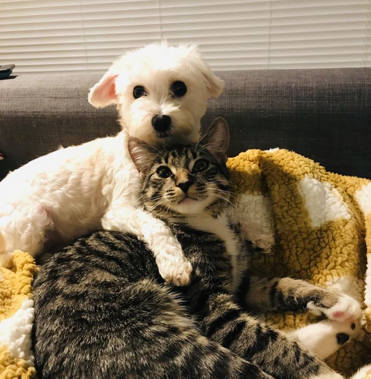 7f3cd5567ca8b8649e0844e150 7f3cd5567ca8b8649e0844e150