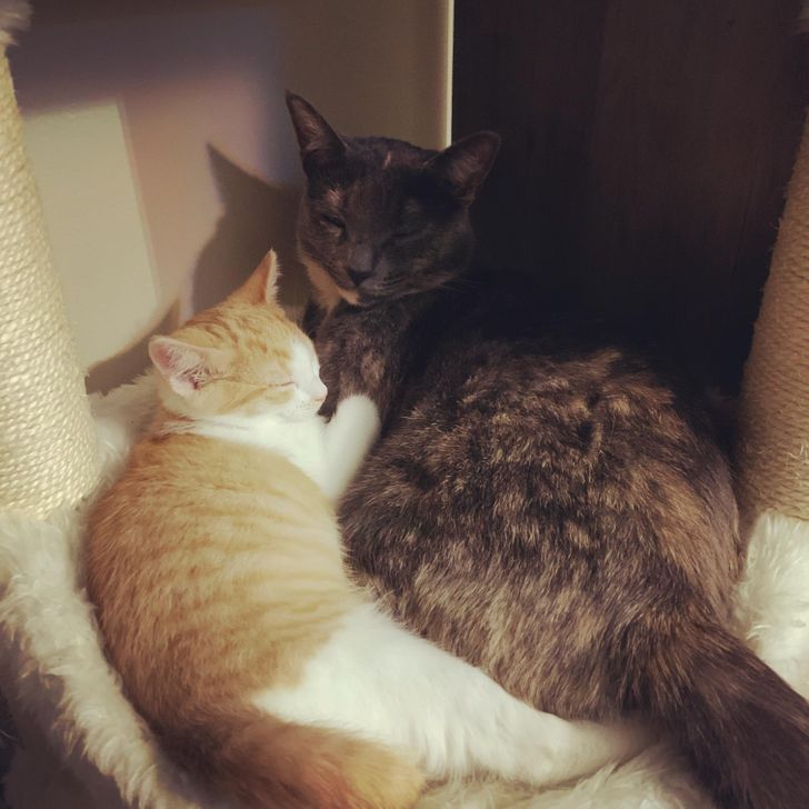 7f3dc55990a1d218631b07c310