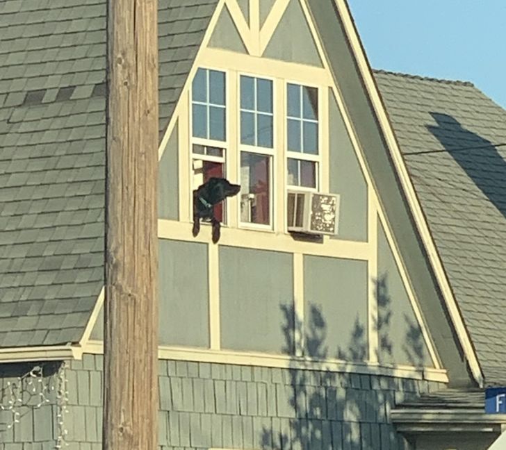 7f400c5632988f32893a13fe11