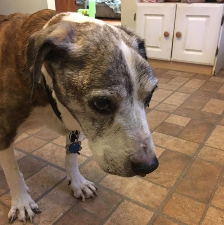 7f5ea65a01ae4b84aeb8aa8ba1