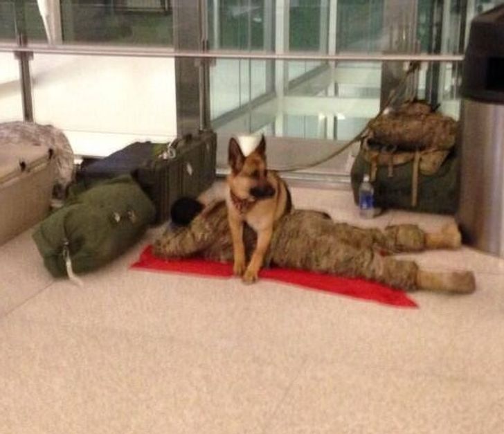 7f5f4355718de21637d2f21bb2