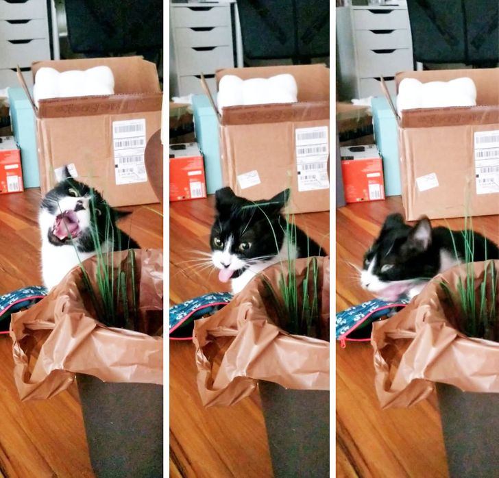 7f63a3582fa11c11486ee4e60a