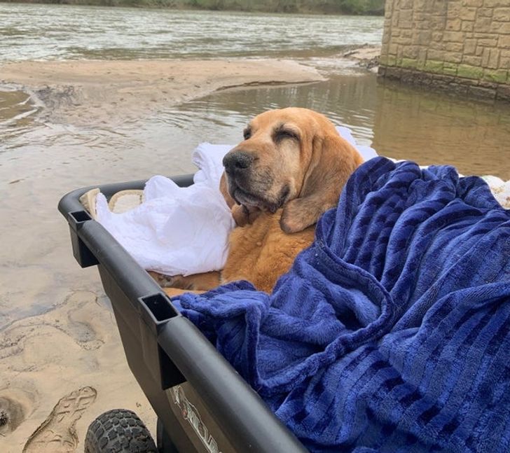 7f6b025b1d8e165364cfe46f33