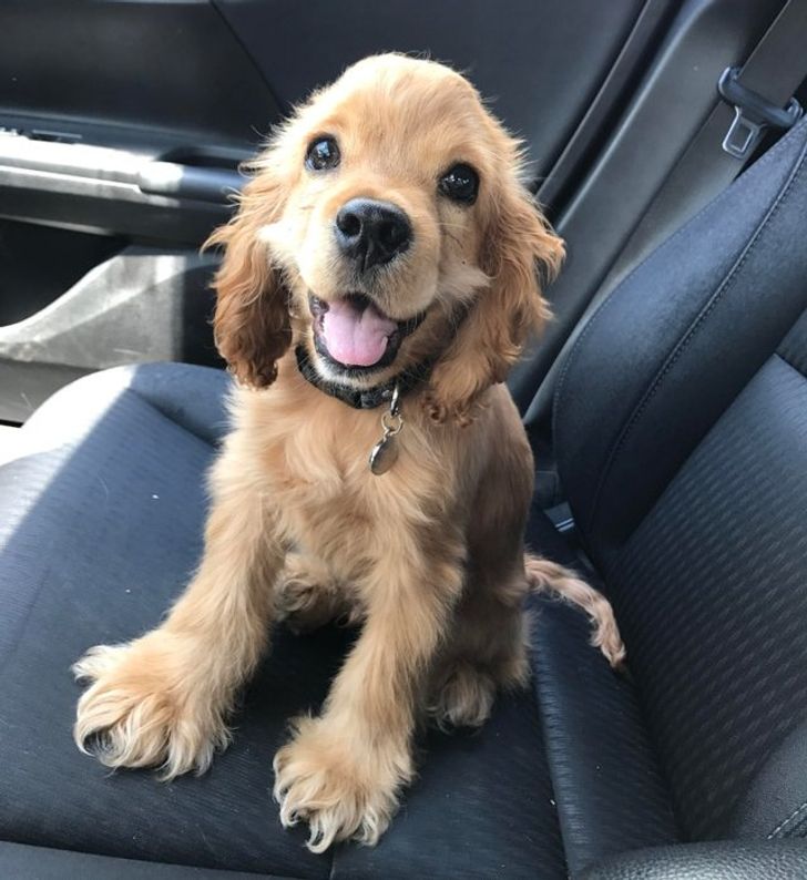 7f72cb5a5daf403f385ad216bd