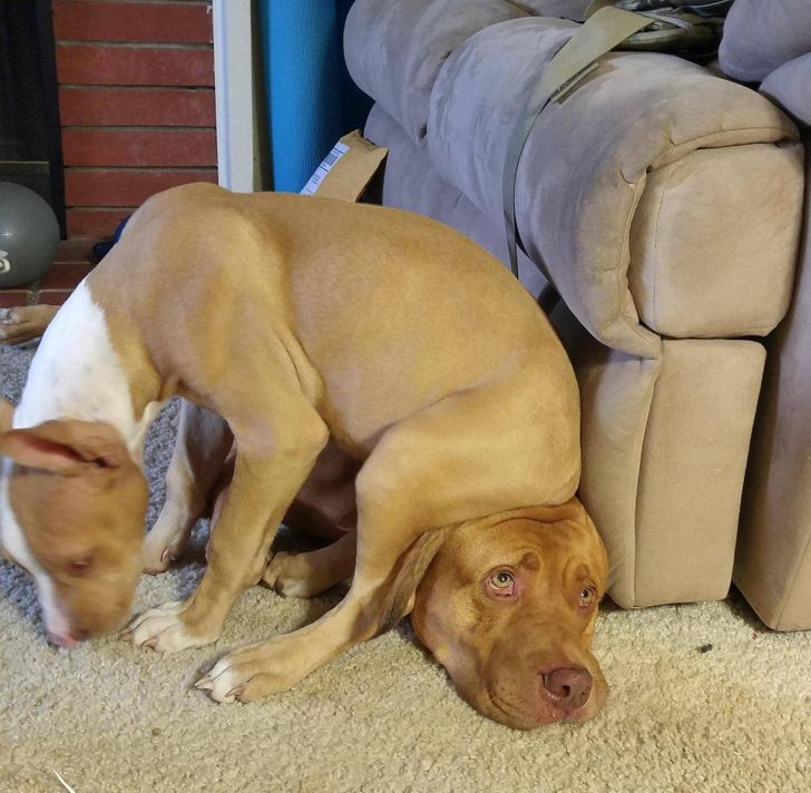 7f735b53a7bf3b36cfdaaec680 7f735b53a7bf3b36cfdaaec680