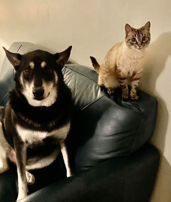 7f7b415a9fa75de57559830236