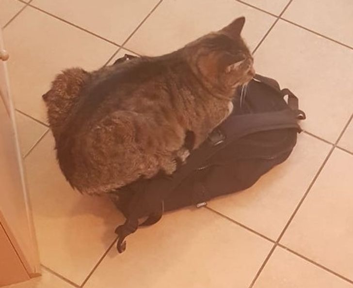 7f83105146aacee65b521c3586