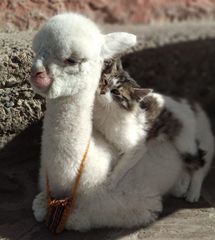 7f85e550348c3375a00aee6b22