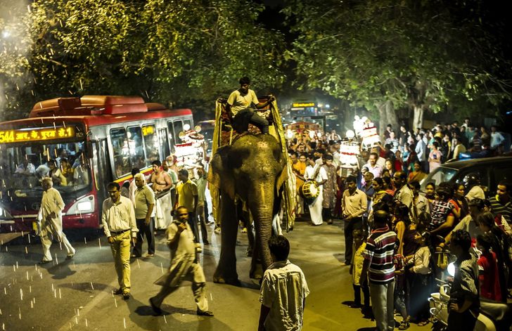 7f8621580abf8778d9272babb0