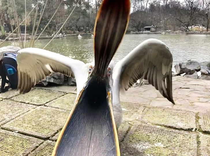 7f86a65ba9ba4b0b53dd9609ea