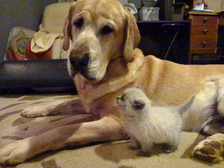 7f874c52a5a196b886455a5d35