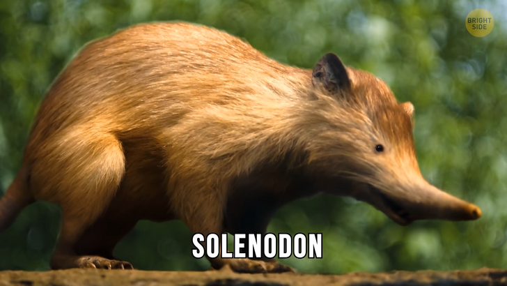 7f8b2f5b258cfcbf92acf7d7d0