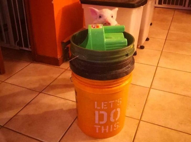 7f8e8b57ca9db345e87f5df80f