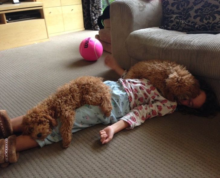 7f932454cf8a381fa192ac6ea7