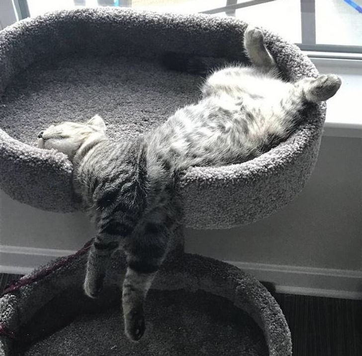 7f9645574185c2060700c27567