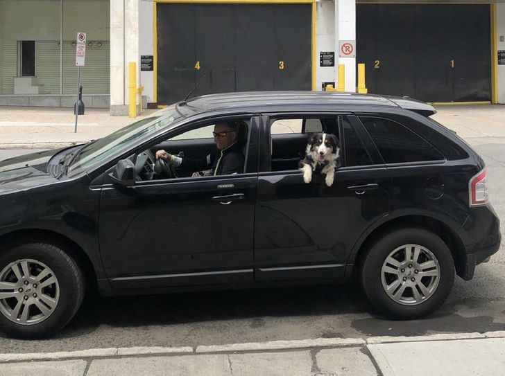 7fa0fe57a2b796452f2f9218b8