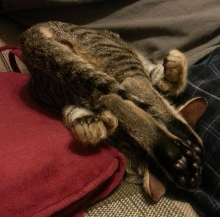 7fa4d85249b09aecfc6c76ebad