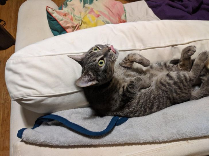 7fa66953ab9dc19ff2f4584c99