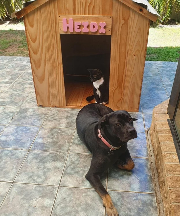 7fa9c551a9828e293bf4947a5a