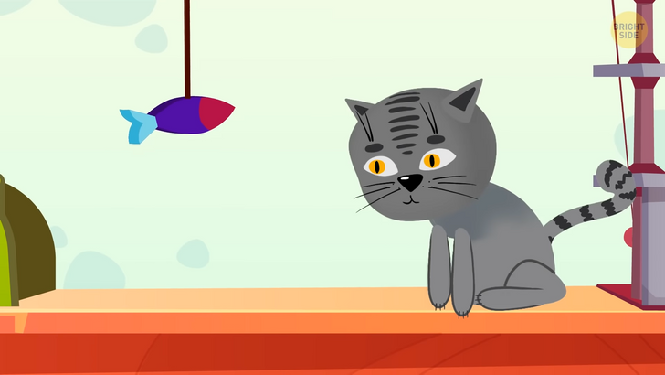 7fab475927b0d4465b5bcf56c9