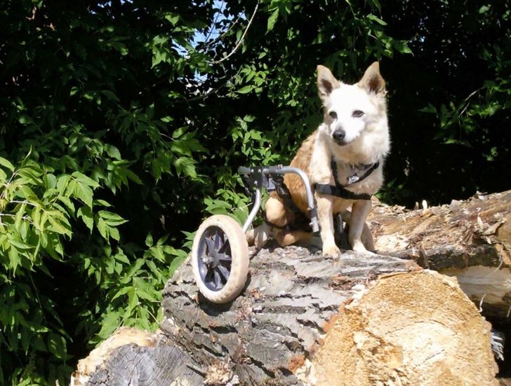 7fb25a50a3838205123c71ec2b