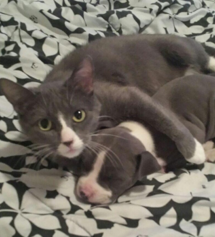 7fb3e055fba7839b5a15be4924 7fb3e055fba7839b5a15be4924