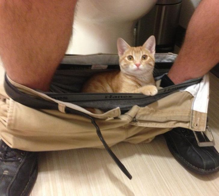 7fb7365fea892a1c01386d0d3d