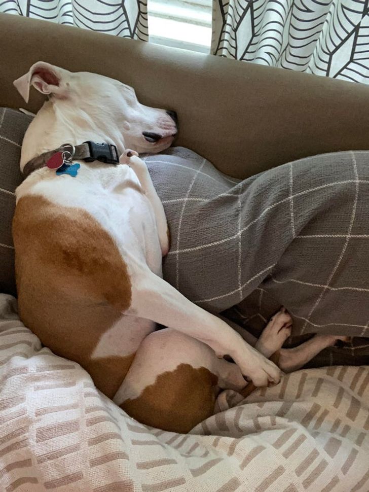 7fbbaa58d49150d1e7451f958f