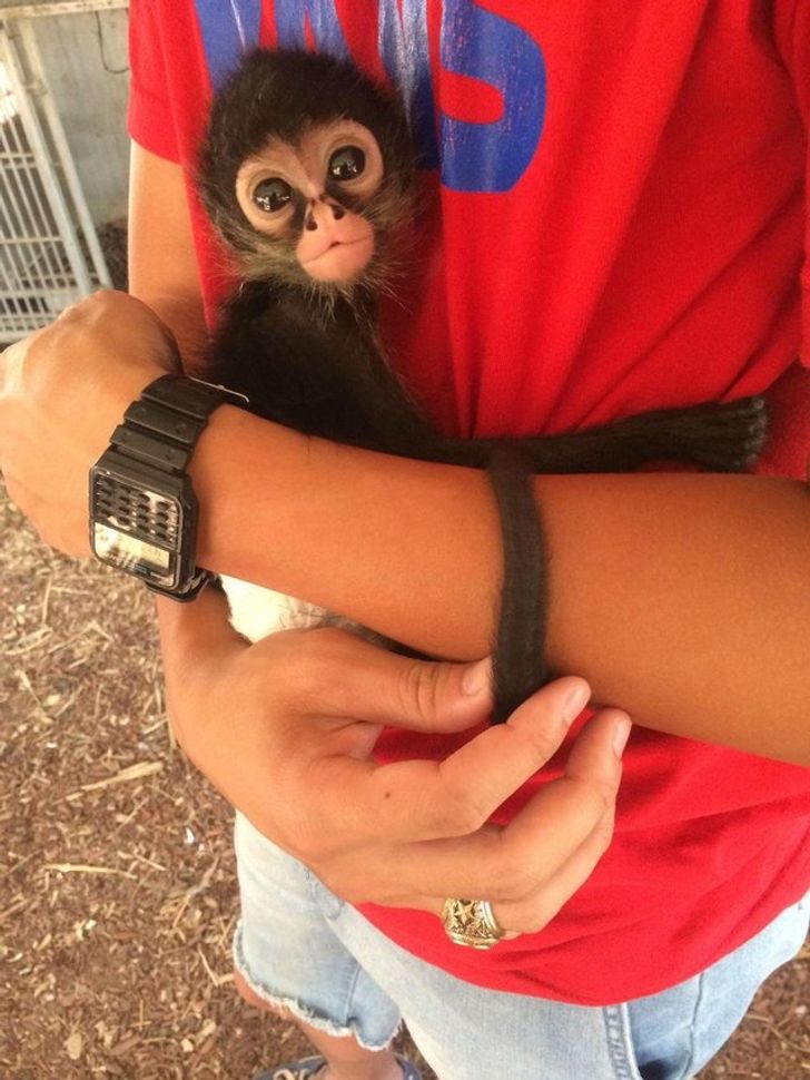 7fbe91548084d23d6327f8111b