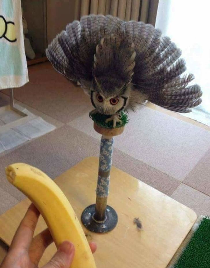 7fc0b057889bf5363ace8cf228