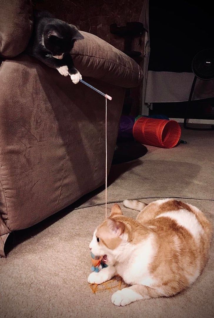 7fc10f555b9ac96ec0e5e323c6