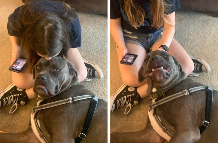 7fc2e25fcca838e9cd4733f092