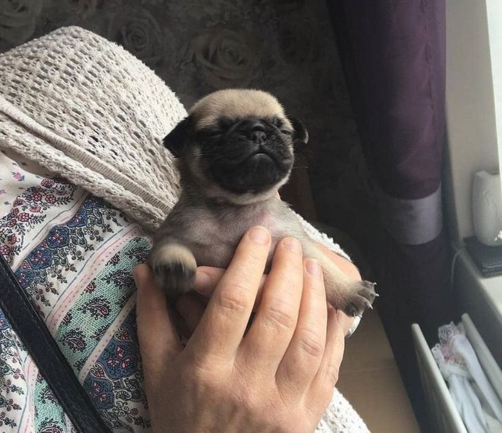 7fc3c75fbdb786cd21b007e764