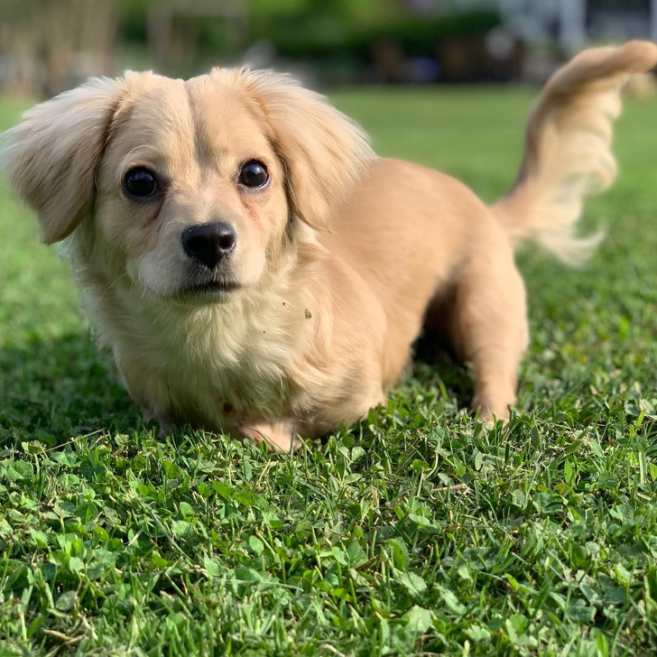 7fc4575b52b9f5354a849ff6af