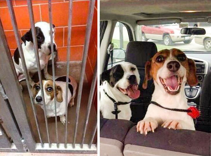 7fc72d52a29f8fb96abf3a5d6c