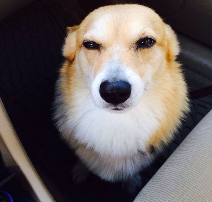 7fc7db550698fed8ab21f3371b