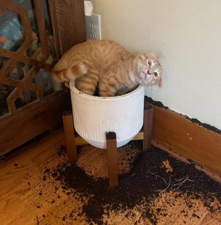 7fc7f3577bab4ad32744d40519