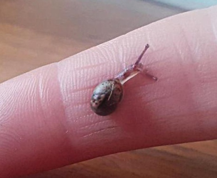 7fcb4c57f18070adf314a8725a