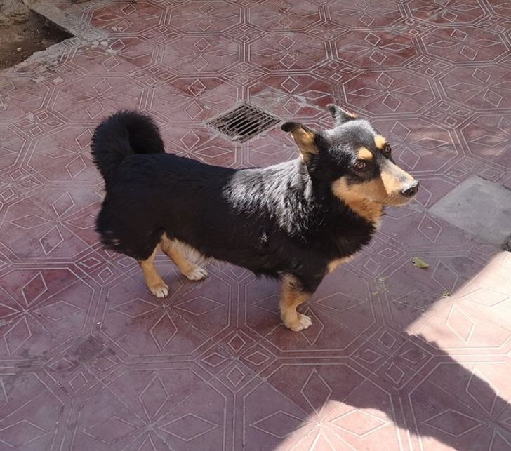 7fccc55b919b01a179322f0d40