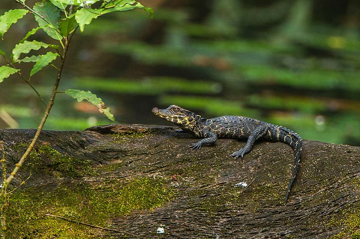 7fd1225aa6b715452f8bca1193