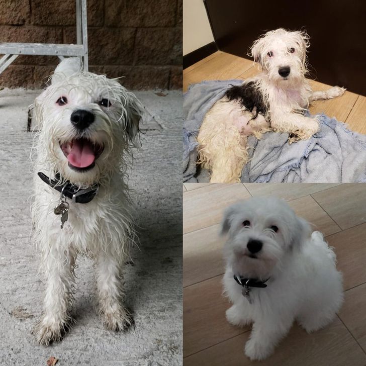 7fd6445812af16e2f982aeeb7d