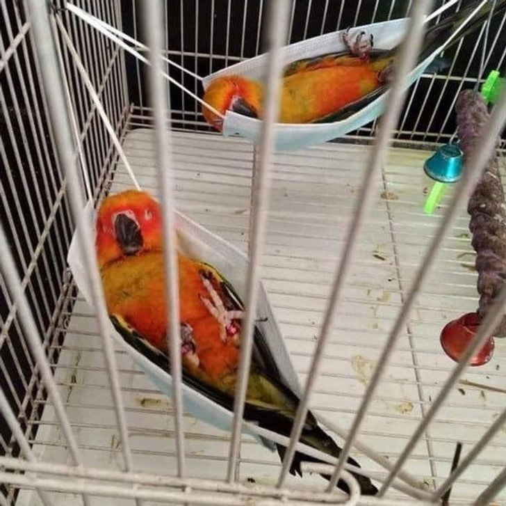 7fdd7056468366e29f3480f012