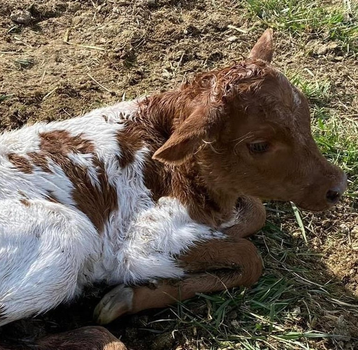 7fdd9f5bb29fd2c34a5a70325d