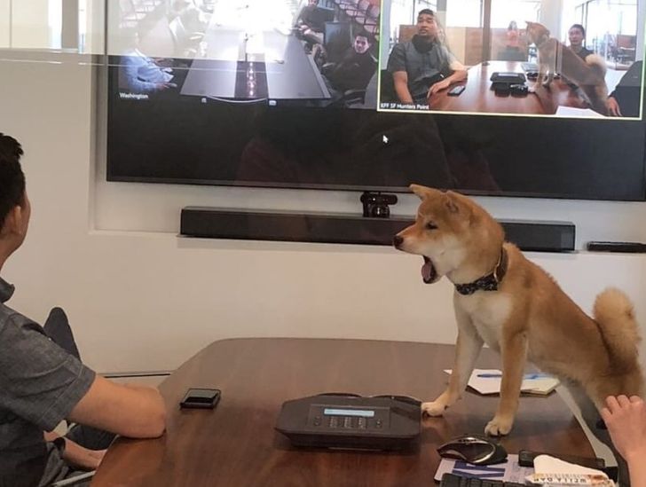 7fdf465399a5dfb2f2ac722d0c