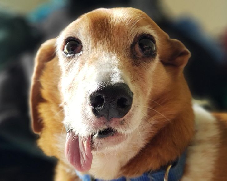 7fe882519b853e43b69794a8ae