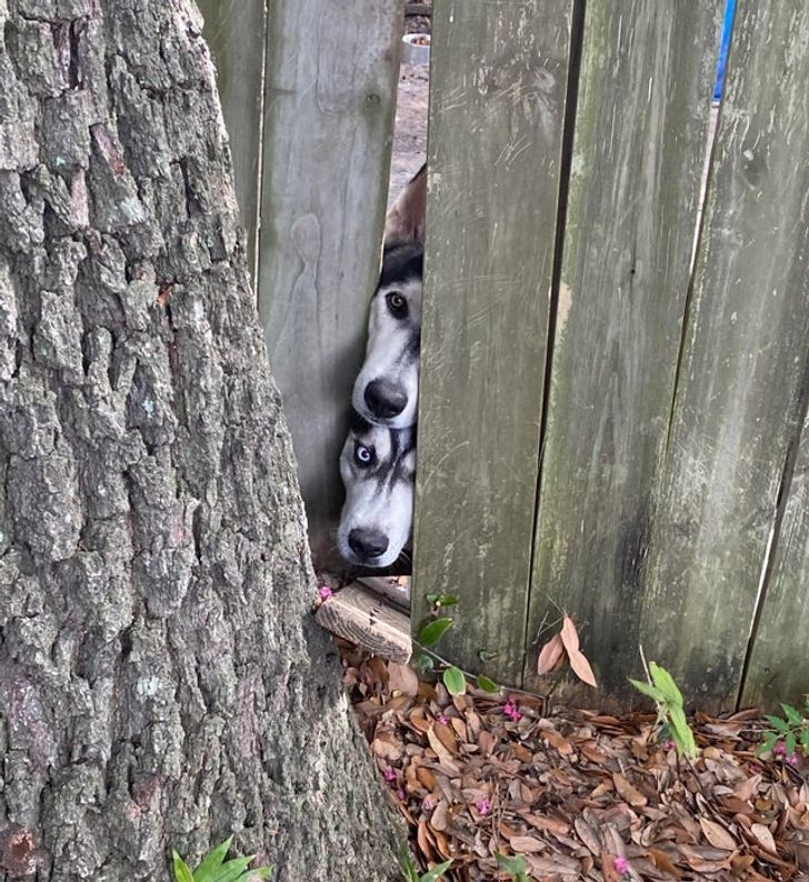 7fedec5adb81c34905f8607e6f