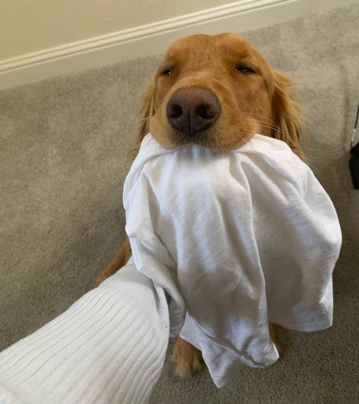 7ff7be5b01ad111d5661570223 7ff7be5b01ad111d5661570223