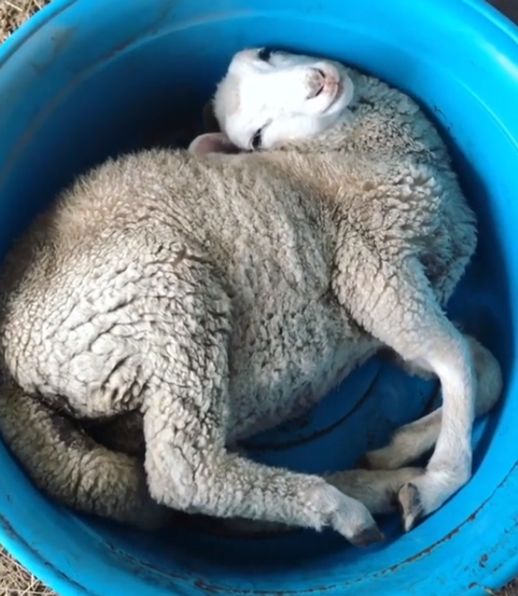 80038a5dd68f1f898fa1de97a3