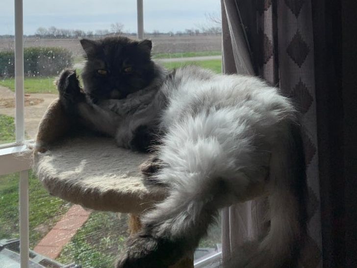 8006505e64bc57ceca991dcac3