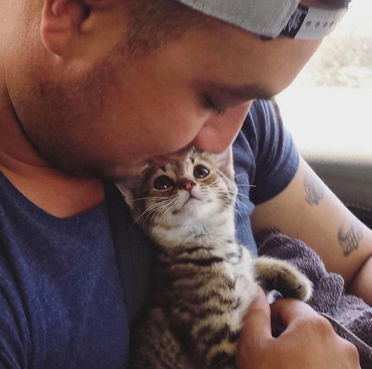 8009d45b239fff0d682d76230d